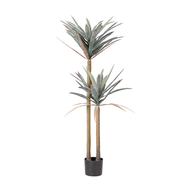 PLANTA YUCCA CON MACETERO 68HOJAS H128