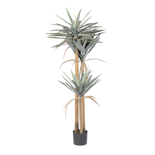 PLANTA YUCCA CON MACETERO 120HOJAS H152