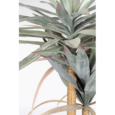 comprar PLANTA YUCCA CON MACETERO 120HOJAS H152 online de BIZZOTTO desde 132,86 € comprar PLANTA YUCCA CON MACETERO 120HOJAS H152 online de BIZZOTTO desde 132,86 €