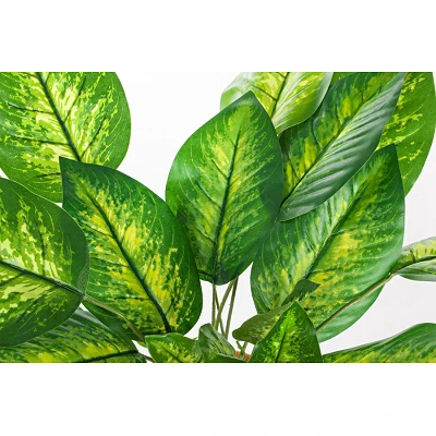 comprar PLANTA DIEFEMBACHIA CON MACETERO 30HOJ H45 online de BIZZOTTO desde 24,18 €