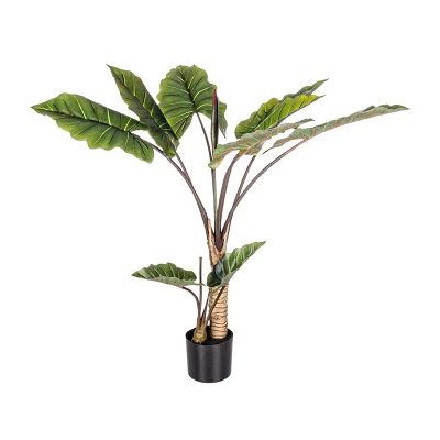 comprar PLANTA DIEFFENBACHIA CON MACETERO 10HOJAS H134 online de BIZZOTTO desde 123,06 € comprar PLANTA DIEFFENBACHIA CON MACETERO 10HOJAS H134 online de BIZZOTTO desde 123,06 €