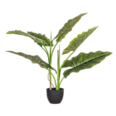 comprar PIANTA DIEFFENBACHIA CON MACETEROETA 7HOJAS H78 online de BIZZOTTO desde 52,27 € comprar PIANTA DIEFFENBACHIA CON MACETEROETA 7HOJAS H78 online de BIZZOTTO desde 52,27 €