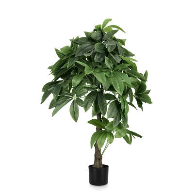 comprar PLANTA PACHIRA ACUÁTICO CON MACETERO 280H H120 online de BIZZOTTO desde 142,66 € comprar PLANTA PACHIRA ACUÁTICO CON MACETERO 280H H120 online de BIZZOTTO desde 142,66 €