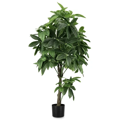 comprar PLANTA PACHIRA ACUÁTICO CON MACETERO 360H H160 online de BIZZOTTO desde 175,33 € comprar PLANTA PACHIRA ACUÁTICO CON MACETERO 360H H160 online de BIZZOTTO desde 175,33 €