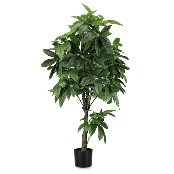 PLANTA PACHIRA ACUÁTICO CON MACETERO 360H H160