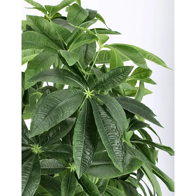 comprar PLANTA PACHIRA ACUÁTICO CON MACETERO 360H H160 online de BIZZOTTO desde 175,33 € comprar PLANTA PACHIRA ACUÁTICO CON MACETERO 360H H160 online de BIZZOTTO desde 175,33 €