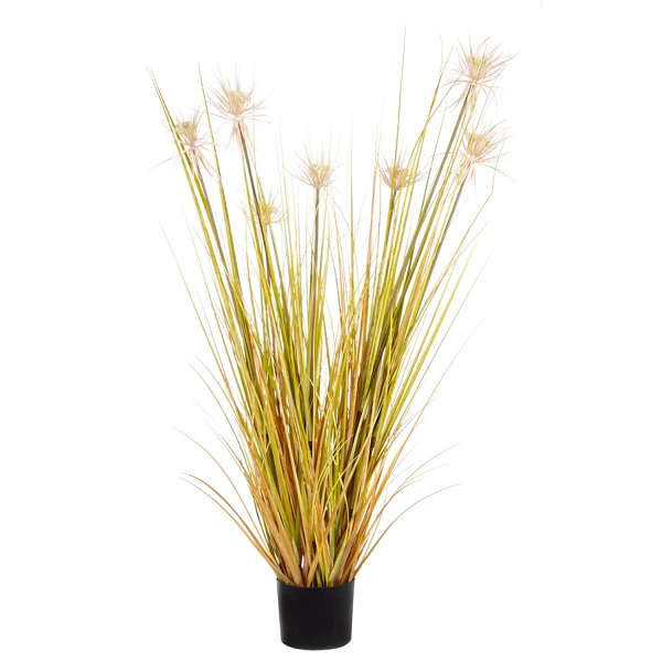 PLANTA DESIERTO PAJA CON MACETERO X7FLOR H120