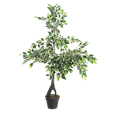 comprar PLANTA FICUS VARIEGADO CON MACETERO X760H H120 online de BIZZOTTO desde 87,12 € comprar PLANTA FICUS VARIEGADO CON MACETERO X760H H120 online de BIZZOTTO desde 87,12 €