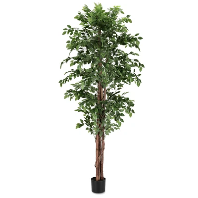 comprar PLANTA FICUS CON MACETERO 2480HOJAS H210 online de BIZZOTTO desde 185,13 € comprar PLANTA FICUS CON MACETERO 2480HOJAS H210 online de BIZZOTTO desde 185,13 €