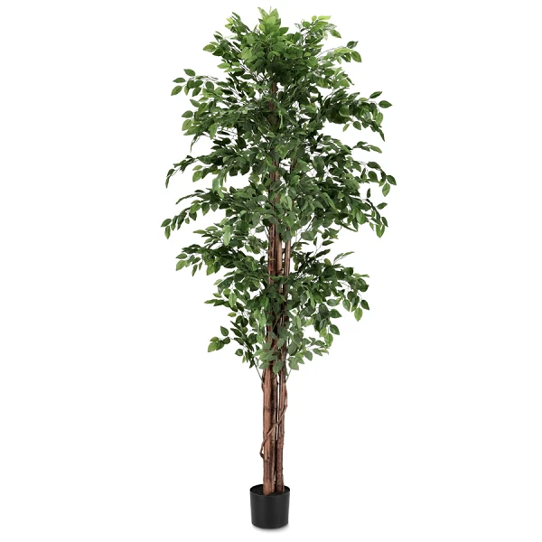 PLANTA FICUS CON MACETERO 2480HOJAS H210
