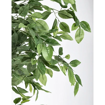 comprar PLANTA FICUS CON MACETERO 2480HOJAS H210 online de BIZZOTTO desde 185,13 € comprar PLANTA FICUS CON MACETERO 2480HOJAS H210 online de BIZZOTTO desde 185,13 €