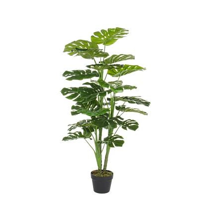 comprar PLANTA FILODENDRO CON MACETERO 23HOJ H120CM online de BIZZOTTO desde 86,03 € comprar PLANTA FILODENDRO CON MACETERO 23HOJ H120CM online de BIZZOTTO desde 86,03 €