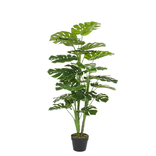 PLANTA FILODENDRO CON MACETERO 23HOJ H120CM