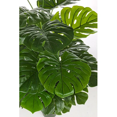 comprar PLANTA FILODENDRO CON MACETERO 23HOJ H120CM online de BIZZOTTO desde 86,03 € comprar PLANTA FILODENDRO CON MACETERO 23HOJ H120CM online de BIZZOTTO desde 86,03 €