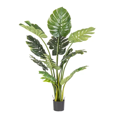 comprar PLANTA FILODENDRO CON MACETERO 13FOGLIE H1 online de BIZZOTTO desde 103,46 € comprar PLANTA FILODENDRO CON MACETERO 13FOGLIE H1 online de BIZZOTTO desde 103,46 €