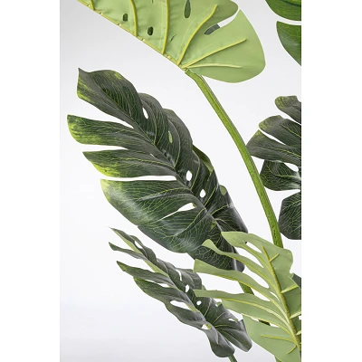 comprar PLANTA FILODENDRO CON MACETERO 13FOGLIE H1 online de BIZZOTTO desde 103,46 € comprar PLANTA FILODENDRO CON MACETERO 13FOGLIE H1 online de BIZZOTTO desde 103,46 €