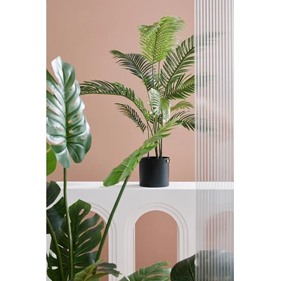 comprar PLANTA FILODENDRO CON MACETERO 13FOGLIE H1 online de BIZZOTTO desde 103,46 € comprar PLANTA FILODENDRO CON MACETERO 13FOGLIE H1 online de BIZZOTTO desde 103,46 €