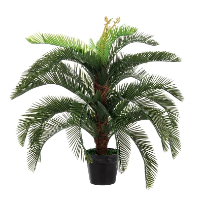 comprar PLANTA PALMA CYCAS CON MACETERO 30HOJ H100 online de BIZZOTTO desde 117,61 € comprar PLANTA PALMA CYCAS CON MACETERO 30HOJ H100 online de BIZZOTTO desde 117,61 €