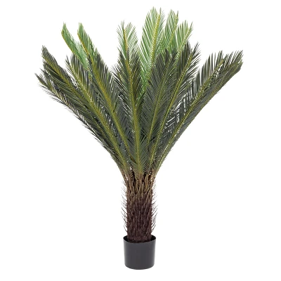 comprar PLANTA PALMA CYCAS CON MACETERO 28HOJ H120 online de BIZZOTTO desde 182,95 € comprar PLANTA PALMA CYCAS CON MACETERO 28HOJ H120 online de BIZZOTTO desde 182,95 €