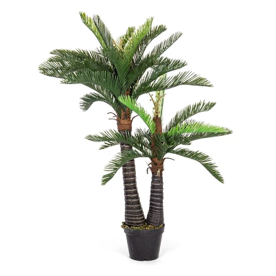 comprar PLANTA PALMA CON MACETERO 36HOJ 2TR H150 online de BIZZOTTO desde 194,93 € comprar PLANTA PALMA CON MACETERO 36HOJ 2TR H150 online de BIZZOTTO desde 194,93 €