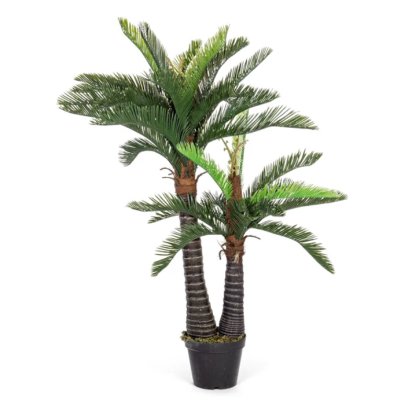 PLANTA PALMA CON MACETERO 36HOJ 2TR H150