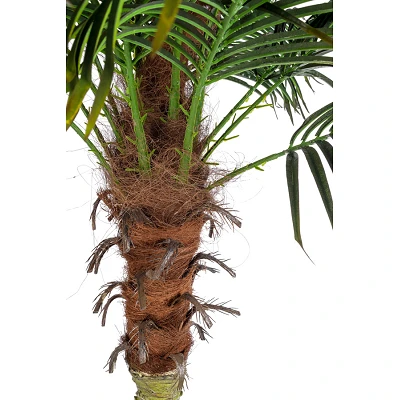 comprar PLANTA PALMA CON MACETERO 18HOJAS H210 online de BIZZOTTO desde 540,14 € comprar PLANTA PALMA CON MACETERO 18HOJAS H210 online de BIZZOTTO desde 540,14 €