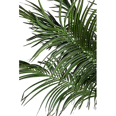 comprar PLANTA PALMA CON MACETERO 18HOJAS H210 online de BIZZOTTO desde 540,14 € comprar PLANTA PALMA CON MACETERO 18HOJAS H210 online de BIZZOTTO desde 540,14 €