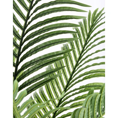 comprar PLANTAkENZIA CON MACETERO 15HOJAS H140 online de BIZZOTTO desde 87,12 € comprar PLANTAkENZIA CON MACETERO 15HOJAS H140 online de BIZZOTTO desde 87,12 €