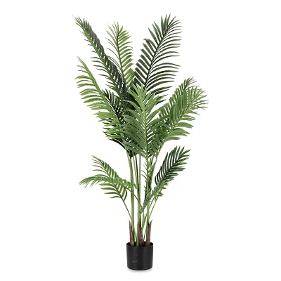 comprar PLANTAkENZIA CON MACETERO 15HOJAS H140 online de BIZZOTTO desde 87,12 € comprar PLANTAkENZIA CON MACETERO 15HOJAS H140 online de BIZZOTTO desde 87,12 €
