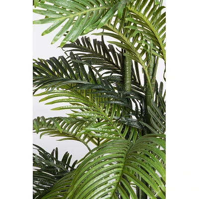 comprar PLANTAkENZIA CON MACETERO 33HOJAS H210 online de BIZZOTTO desde 385,51 € comprar PLANTAkENZIA CON MACETERO 33HOJAS H210 online de BIZZOTTO desde 385,51 €