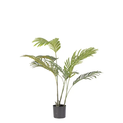 comprar PLANTAkENZIA CON MACETERO 9HOJAS H80 online de BIZZOTTO desde 34,85 € comprar PLANTAkENZIA CON MACETERO 9HOJAS H80 online de BIZZOTTO desde 34,85 €