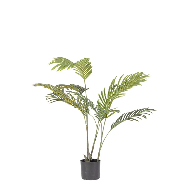 PLANTAkENZIA CON MACETERO 9HOJAS H80