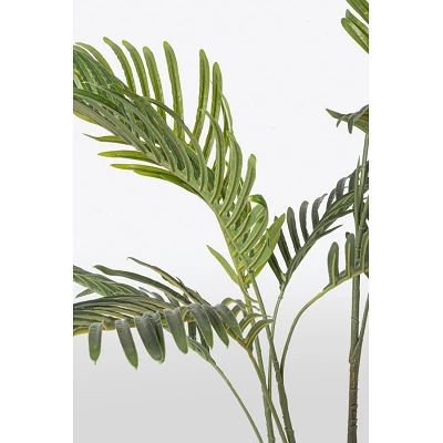 comprar PLANTAkENZIA CON MACETERO 9HOJAS H80 online de BIZZOTTO desde 34,85 € comprar PLANTAkENZIA CON MACETERO 9HOJAS H80 online de BIZZOTTO desde 34,85 €