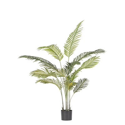 comprar PLANTAkENZIA CON MACETERO 14HOJAS H120 online de BIZZOTTO desde 68,61 € comprar PLANTAkENZIA CON MACETERO 14HOJAS H120 online de BIZZOTTO desde 68,61 €