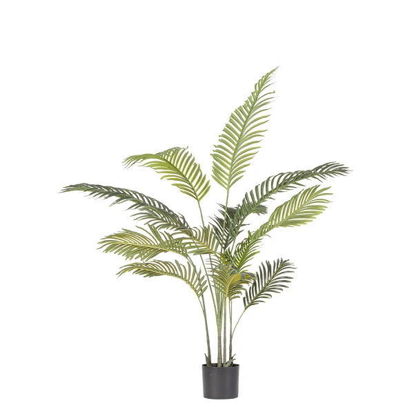 PLANTAkENZIA CON MACETERO 14HOJAS H120