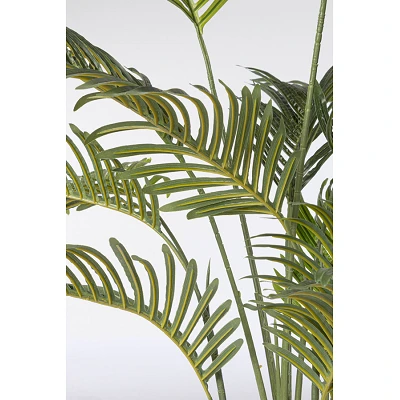 comprar PLANTAkENZIA CON MACETERO 14HOJAS H120 online de BIZZOTTO desde 68,61 € comprar PLANTAkENZIA CON MACETERO 14HOJAS H120 online de BIZZOTTO desde 68,61 €