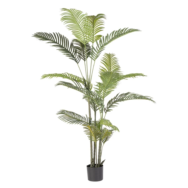 PLANTAkENZIA CON MACETERO 18HOJAS H180