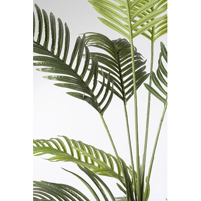 comprar PLANTAkENZIA CON MACETERO 18HOJAS H180 online de BIZZOTTO desde 116,52 € comprar PLANTAkENZIA CON MACETERO 18HOJAS H180 online de BIZZOTTO desde 116,52 €