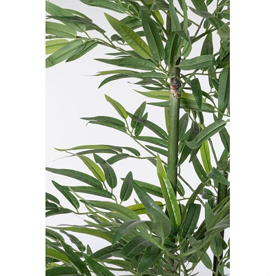 comprar PLANTA BAMBÚ CON MACETERO H130 online de BIZZOTTO desde 52,27 € comprar PLANTA BAMBÚ CON MACETERO H130 online de BIZZOTTO desde 52,27 €