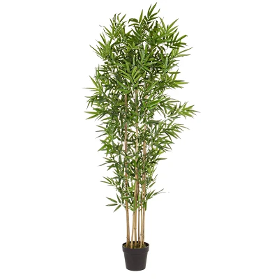 comprar PLANTA BAMBÚ CON MACETERO H185CM online de BIZZOTTO desde 185,13 € comprar PLANTA BAMBÚ CON MACETERO H185CM online de BIZZOTTO desde 185,13 €
