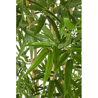 comprar PLANTA BAMBÚ CON MACETERO H185CM online de BIZZOTTO desde 185,13 € comprar PLANTA BAMBÚ CON MACETERO H185CM online de BIZZOTTO desde 185,13 €