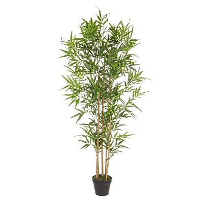 comprar PLANTA BAMBÚ CON MACETERO H155CM online de BIZZOTTO desde 128,50 € comprar PLANTA BAMBÚ CON MACETERO H155CM online de BIZZOTTO desde 128,50 €
