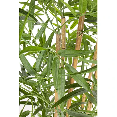 comprar PLANTA BAMBÚ CON MACETERO H155CM online de BIZZOTTO desde 128,50 € comprar PLANTA BAMBÚ CON MACETERO H155CM online de BIZZOTTO desde 128,50 €