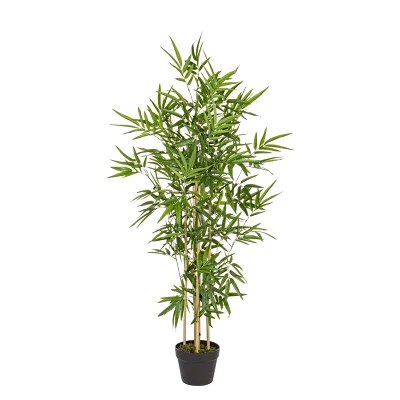 comprar PLANTA BAMBÚ CON MACETERO H130CM online de BIZZOTTO desde 102,37 € comprar PLANTA BAMBÚ CON MACETERO H130CM online de BIZZOTTO desde 102,37 €