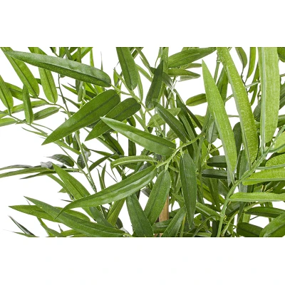 comprar PLANTA BAMBÚ CON MACETERO H130CM online de BIZZOTTO desde 102,37 € comprar PLANTA BAMBÚ CON MACETERO H130CM online de BIZZOTTO desde 102,37 €