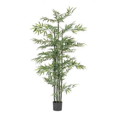 comprar PLANTA BAMBÚ CON MACETERO H190 online de BIZZOTTO desde 94,74 € comprar PLANTA BAMBÚ CON MACETERO H190 online de BIZZOTTO desde 94,74 €