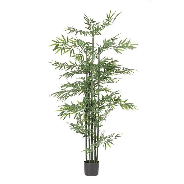 PLANTA BAMBÚ CON MACETERO H190