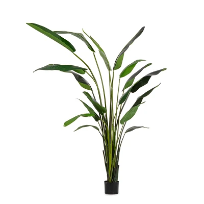 comprar PLANTA STRELITZIA CON MACETERO 18HOJAS H310 online de BIZZOTTO desde 298,39 € comprar PLANTA STRELITZIA CON MACETERO 18HOJAS H310 online de BIZZOTTO desde 298,39 €