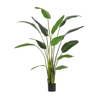 comprar PLANTA STRELITZIA CON MACETERO 13HOJAS H235 online de BIZZOTTO desde 144,84 € comprar PLANTA STRELITZIA CON MACETERO 13HOJAS H235 online de BIZZOTTO desde 144,84 €