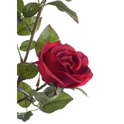 comprar FLORERO ROSA ISABEL X5F+3B ROJO online de BIZZOTTO desde 35,72 € comprar FLORERO ROSA ISABEL X5F+3B ROJO online de BIZZOTTO desde 35,72 €